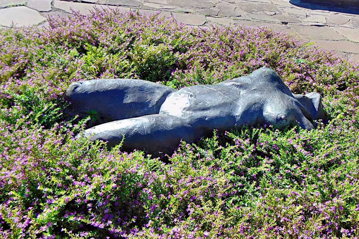 Madeira – Santa Catarina Park – Skulptur im Beet