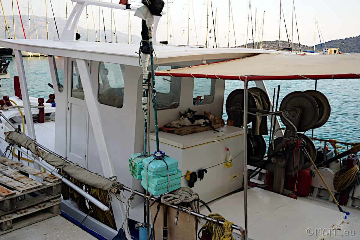 Katzen besetzen ein Fischerboot im Hafen von Kalamos